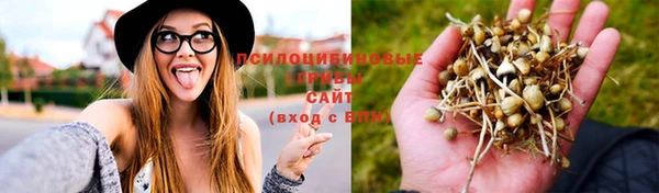 стафф Лагань